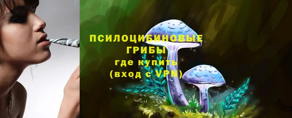СК Абдулино