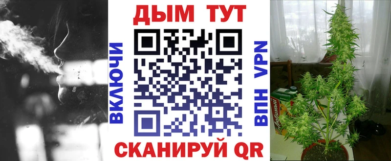 Конопля планчик Чухлома