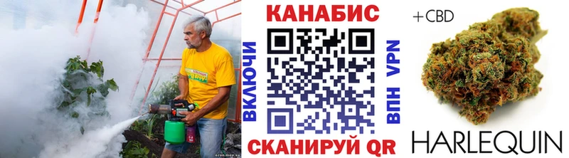 Бошки Шишки VHQ  Чухлома 